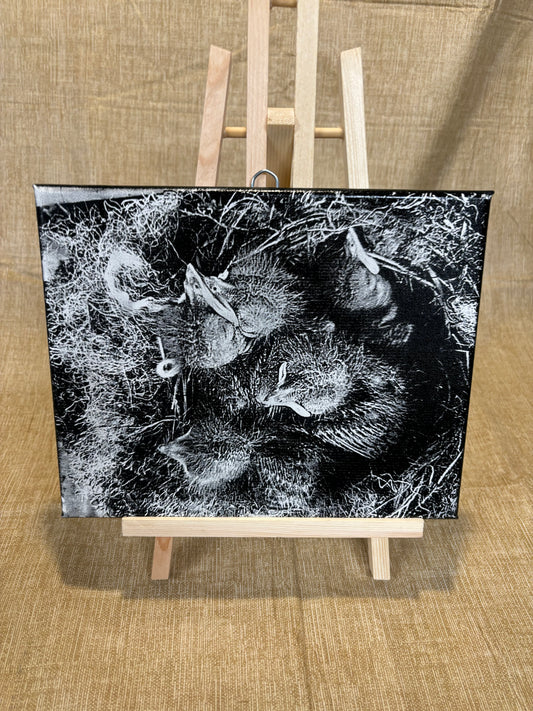 Medium engraved canvas